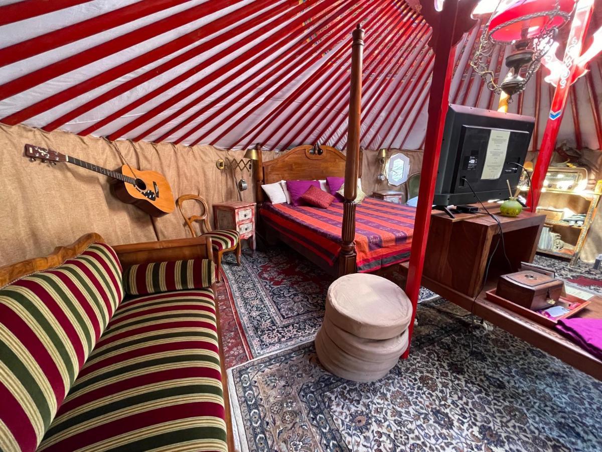 Crazy Lounge Bnb 애글 외부 사진